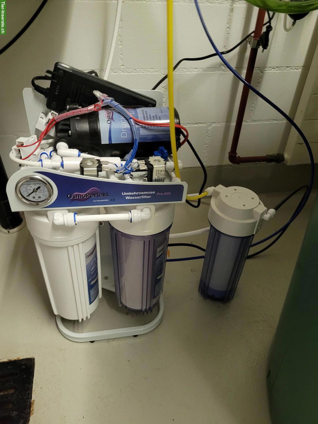 Bild 7: Komplettes Aquarium inkl. Fische & Zubehör zu verkaufen