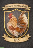 Bruteier Serama Zwerghühner, reinrassig