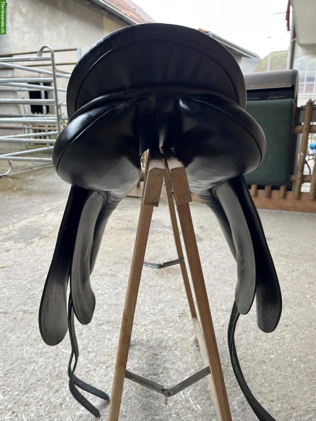 Bild 3: Massimo Dressursattel 18 Zoll zu verkaufen