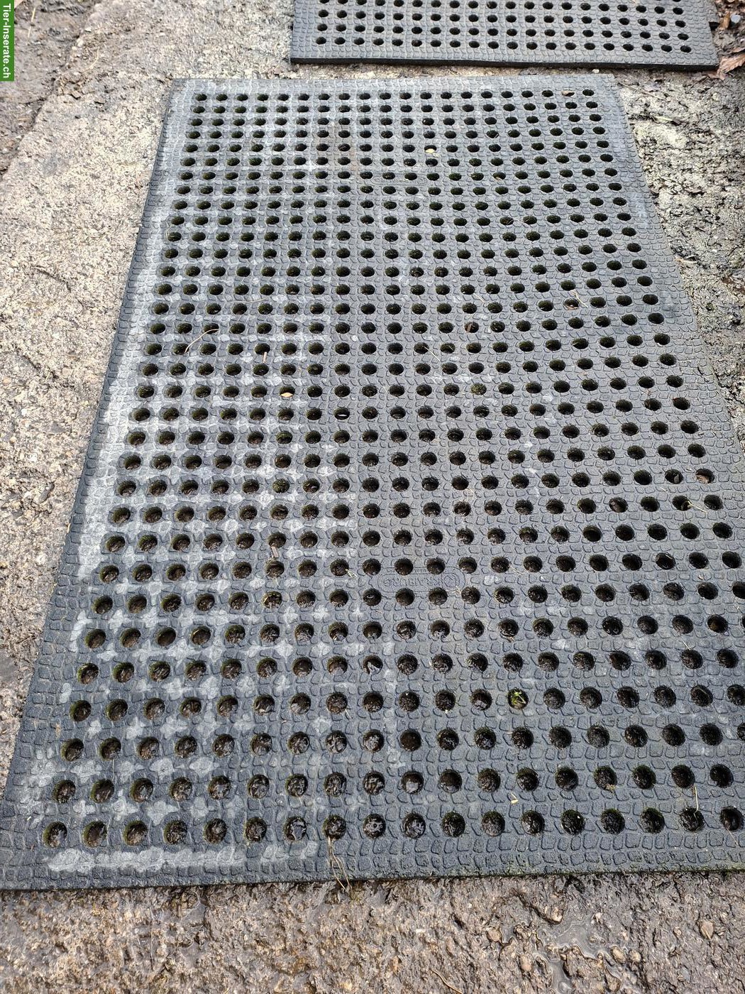 Bild 2: Belmondo Gummimatten Flix / Lomax, 5 Stück zu verkaufen