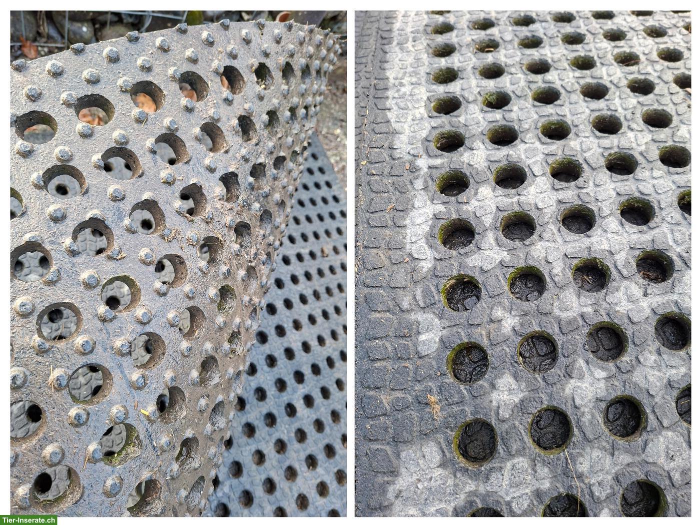 Bild 3: Belmondo Gummimatten Flix / Lomax, 5 Stück zu verkaufen