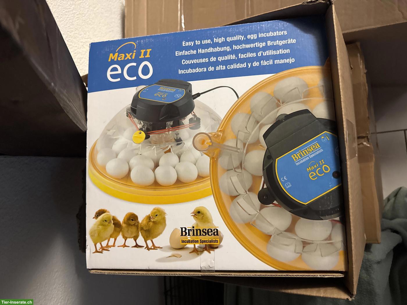 Brutgerät Brinsea Maxi 2 Eco zu verkaufen