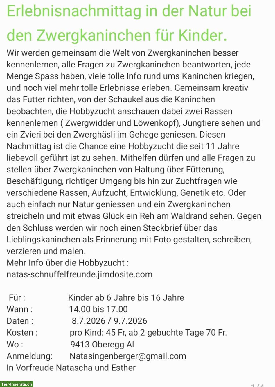 Bild 5: Erlebnisnachmittag Zwergkaninchen, Löwenkopf, Zwergwidder