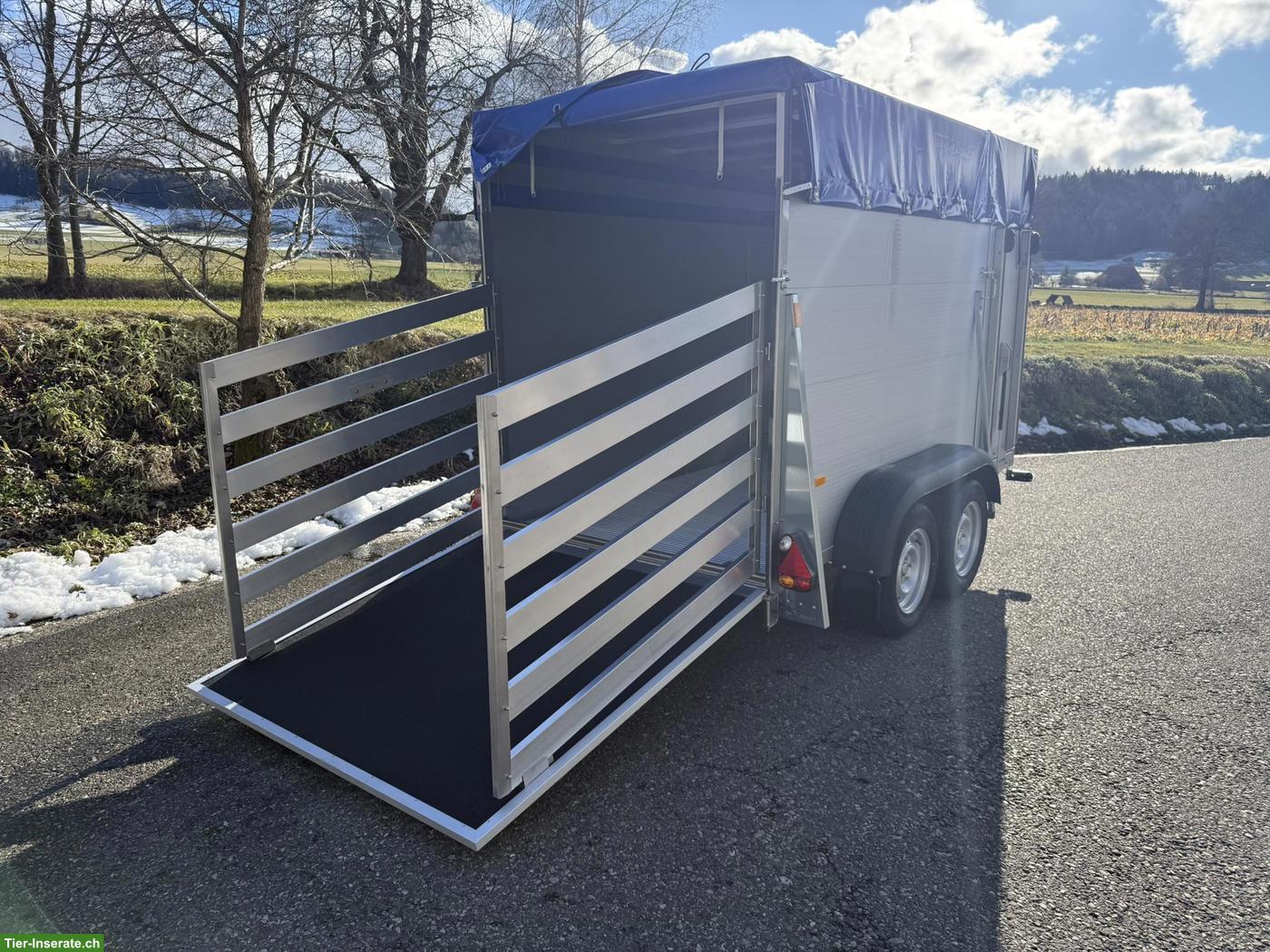 Bild 4: Neuer Viehtransportanhänger zu verkaufen