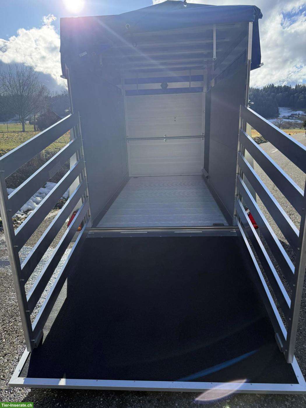 Bild 5: Neuer Viehtransportanhänger zu verkaufen