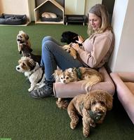 Biete liebevolle Hundebetreuung mit viel Erfahrung, Aargau