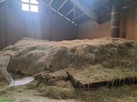 Ökoheu Ernte 2024 gratis abzugeben