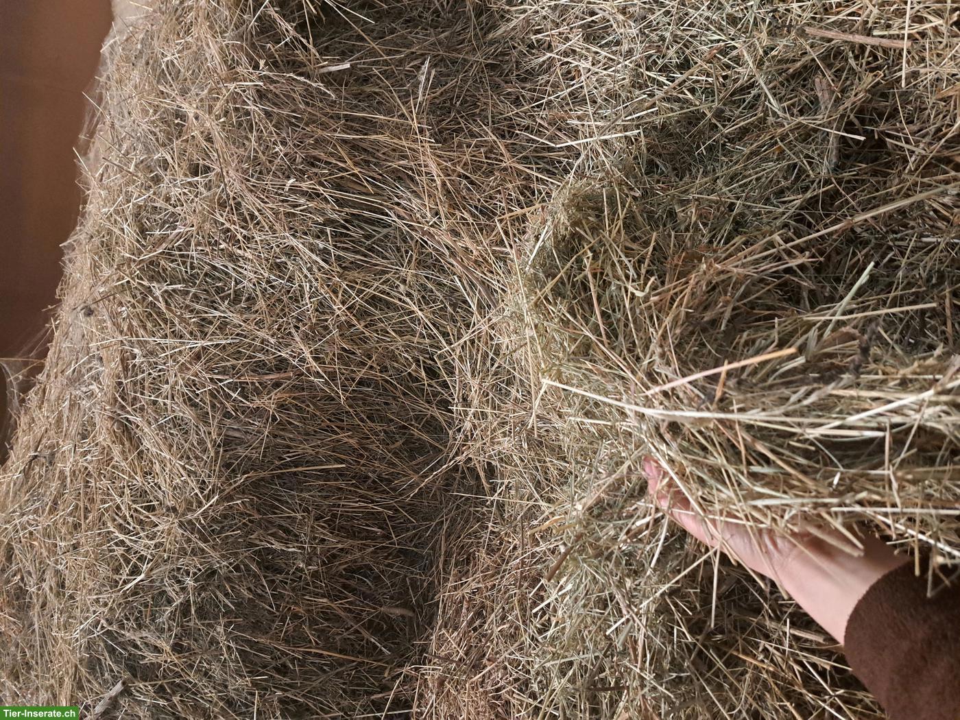 Bild 2: Ökoheu Ernte 2024 gratis abzugeben