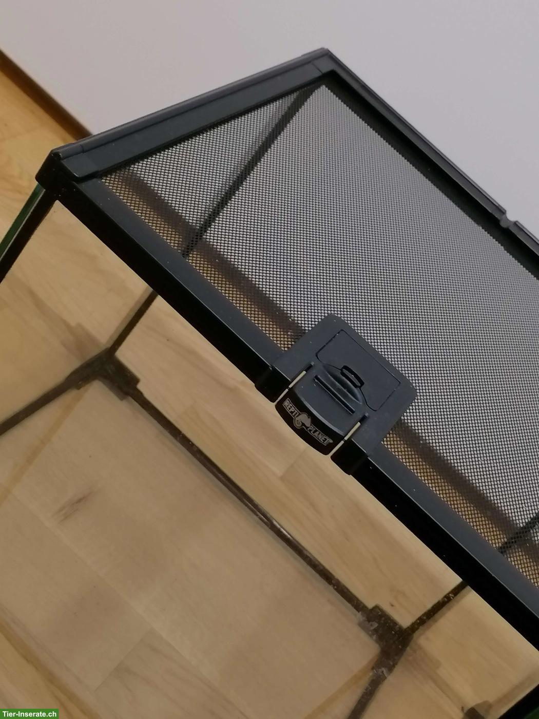 Bild 2: 2x ReptiPlanet 30x30x30cm Glasterrarien zu verkaufen