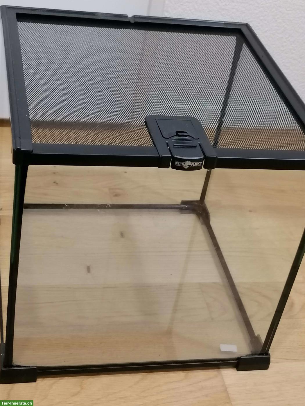 Bild 3: 2x ReptiPlanet 30x30x30cm Glasterrarien zu verkaufen