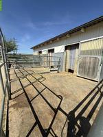 3 Auslaufboxen frei in 4314 Zeiningen AG