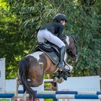 Reitunterricht / Reitstunden Ostschweiz