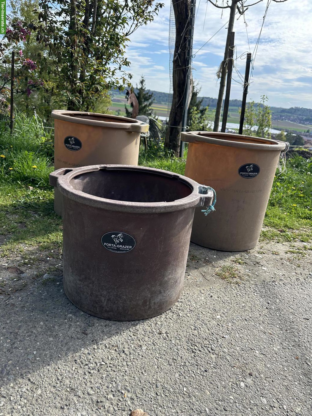 Gebrauchte Porta Grazer Slow Feeder