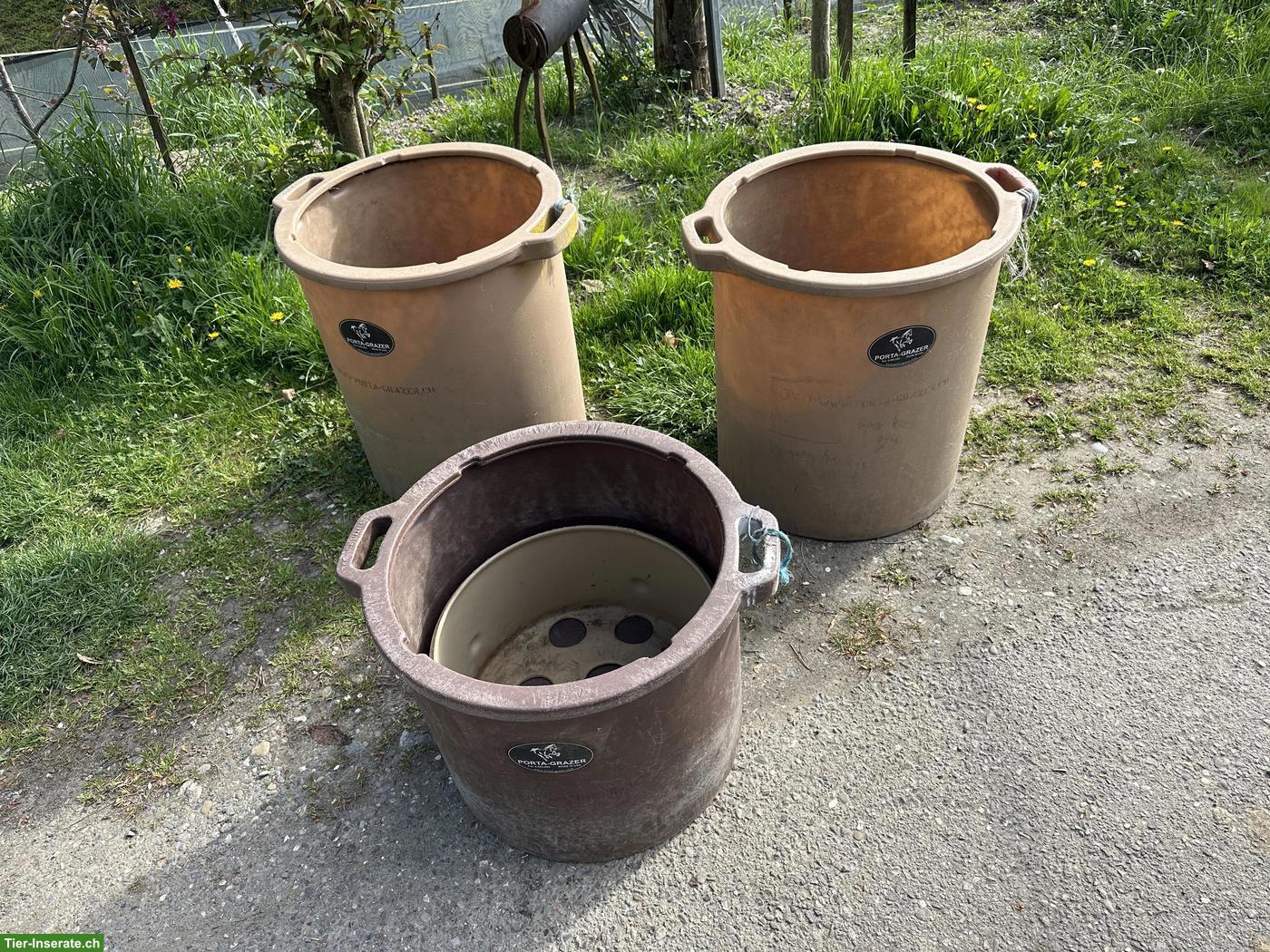 Bild 2: Gebrauchte Porta Grazer Slow Feeder