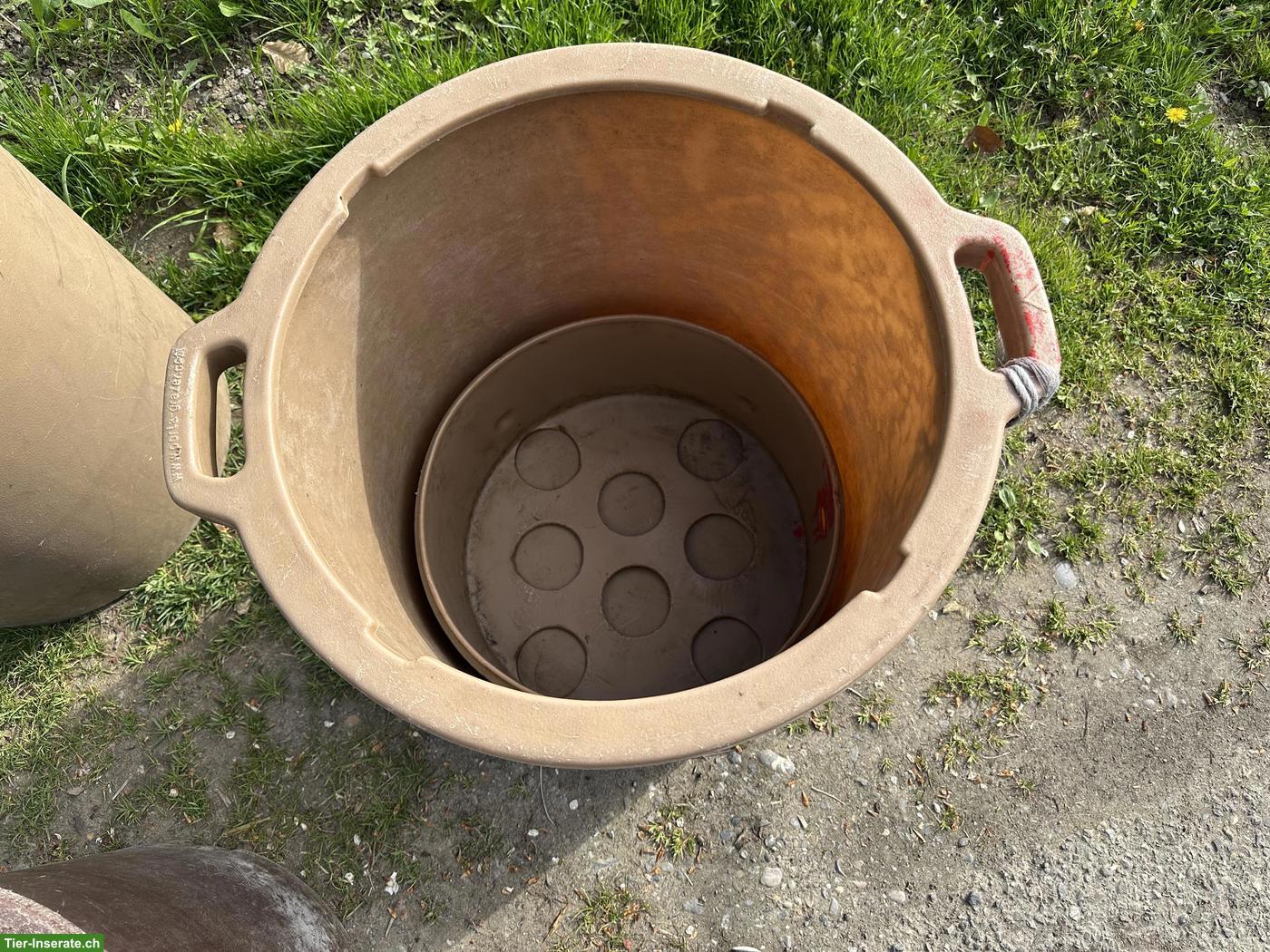 Bild 3: Gebrauchte Porta Grazer Slow Feeder