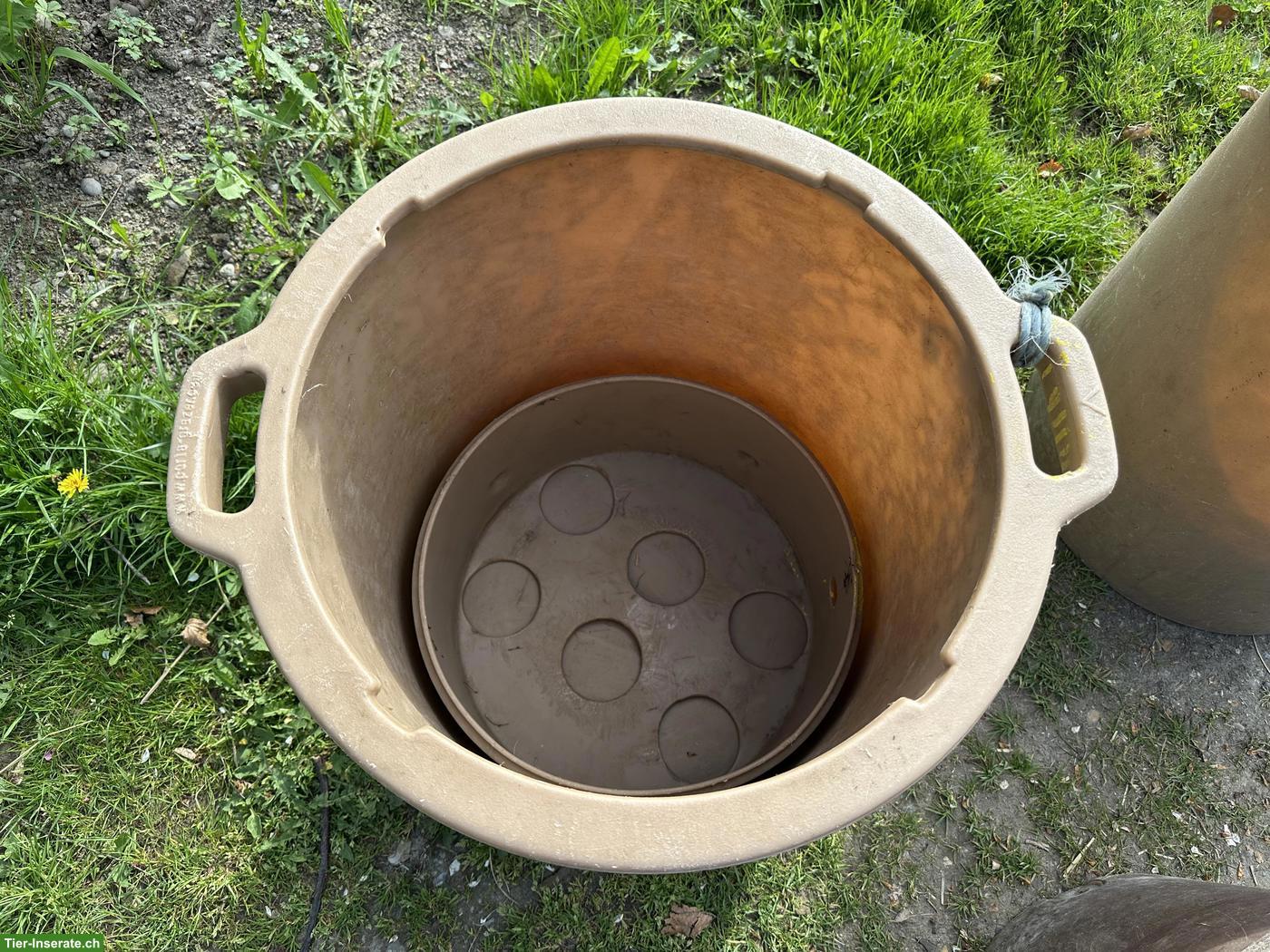 Bild 4: Gebrauchte Porta Grazer Slow Feeder