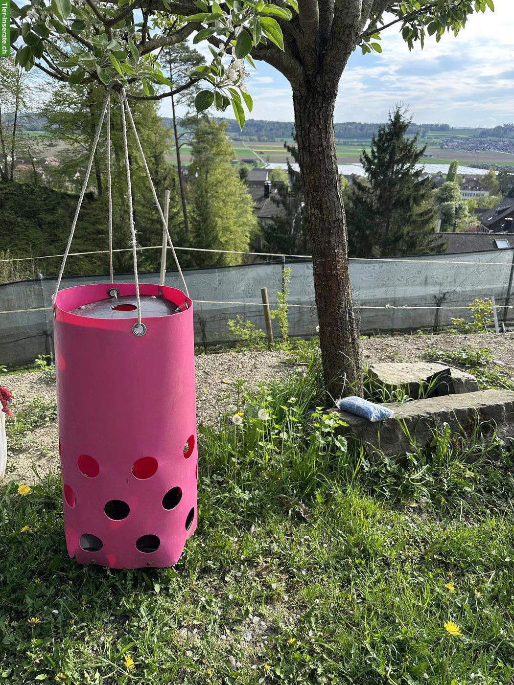 Gebrauchte HeuToy Slow Feeder