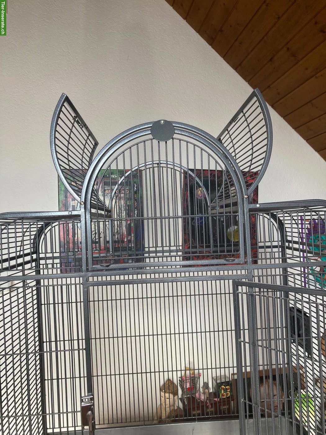 Bild 2: Vogelvoliere inkl. massgefertigter Zinkwanne zu verkaufen