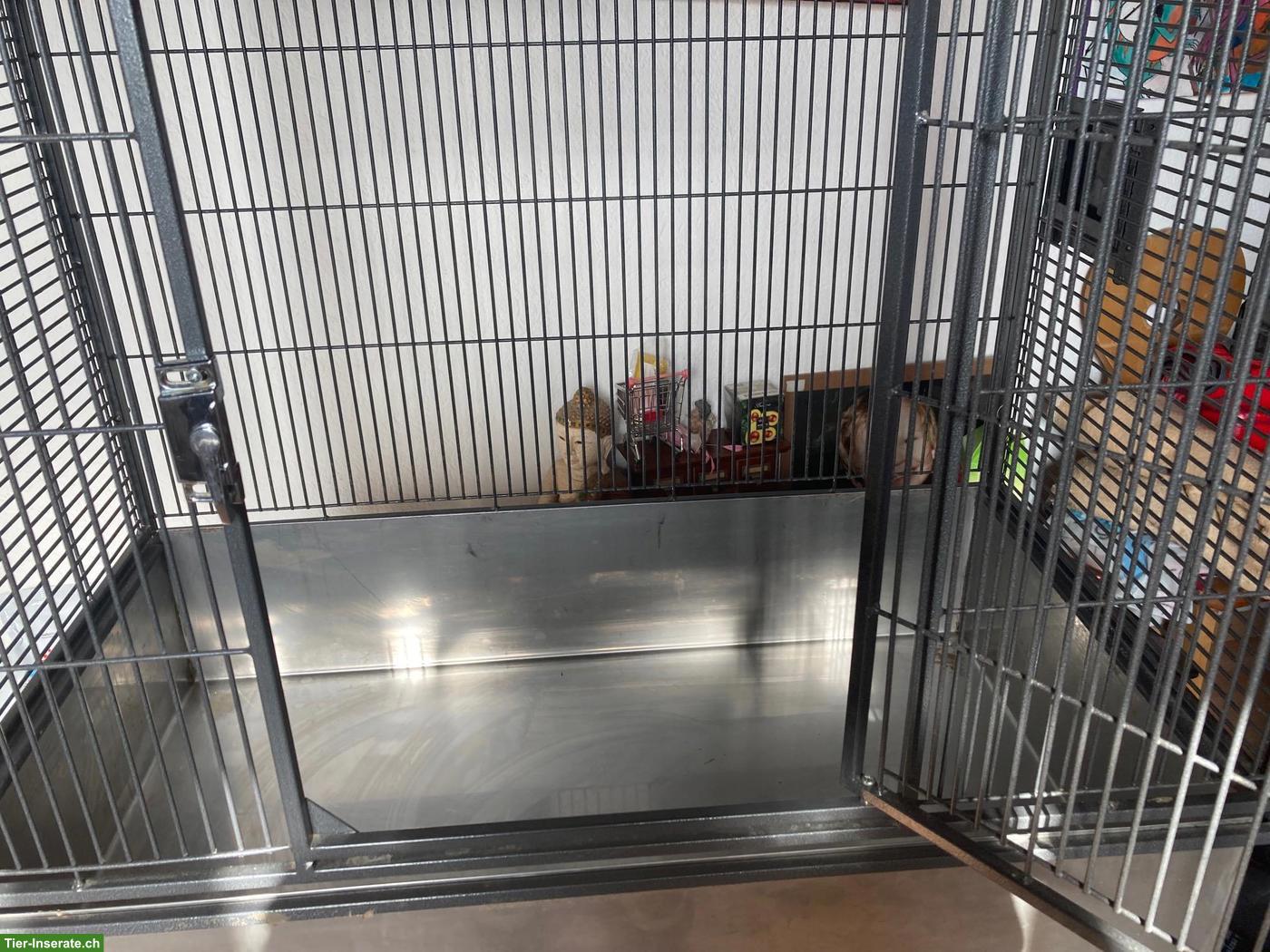 Bild 3: Vogelvoliere inkl. massgefertigter Zinkwanne zu verkaufen