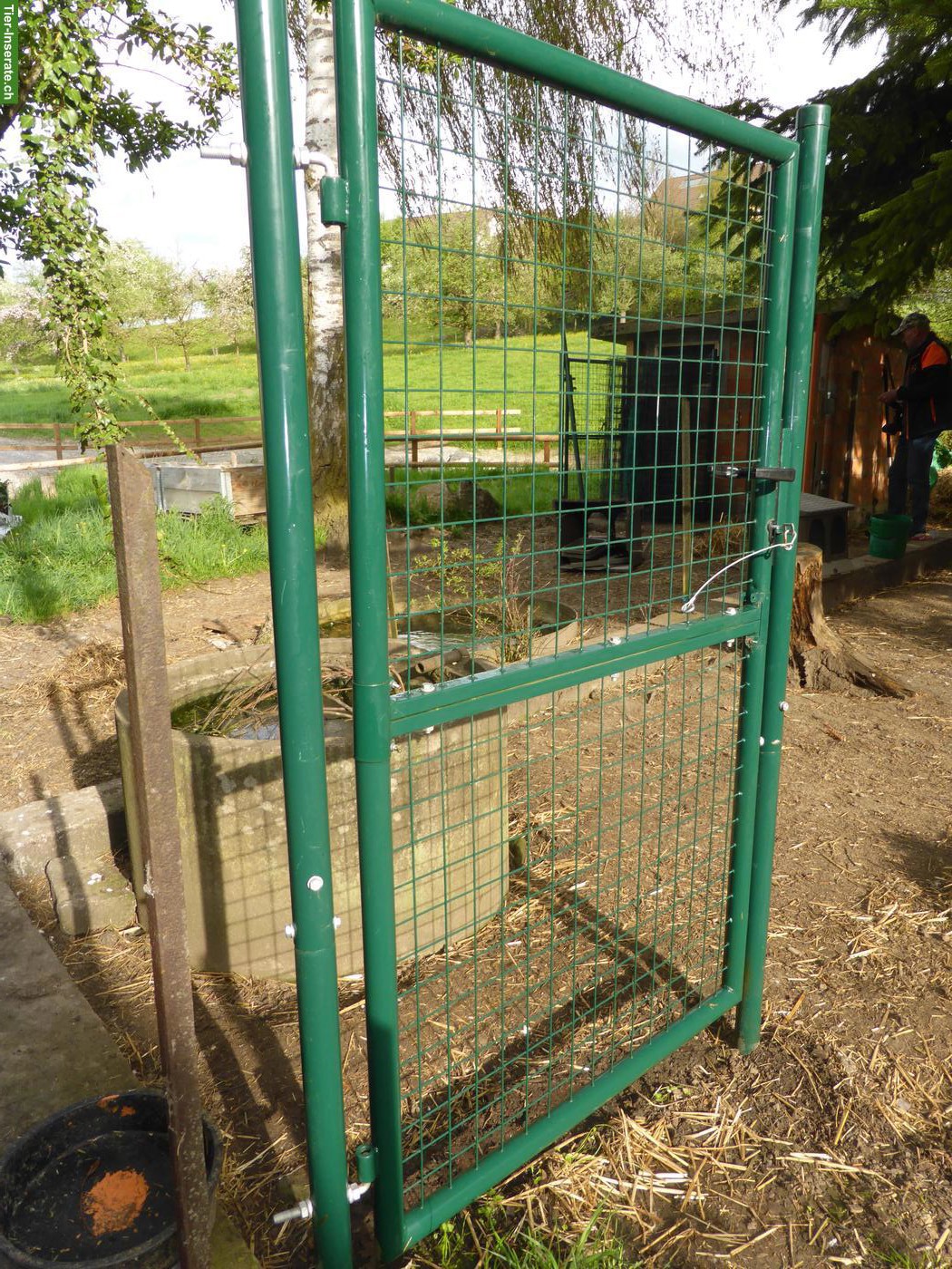 Diverses Hühnerzubehör zu verkaufen