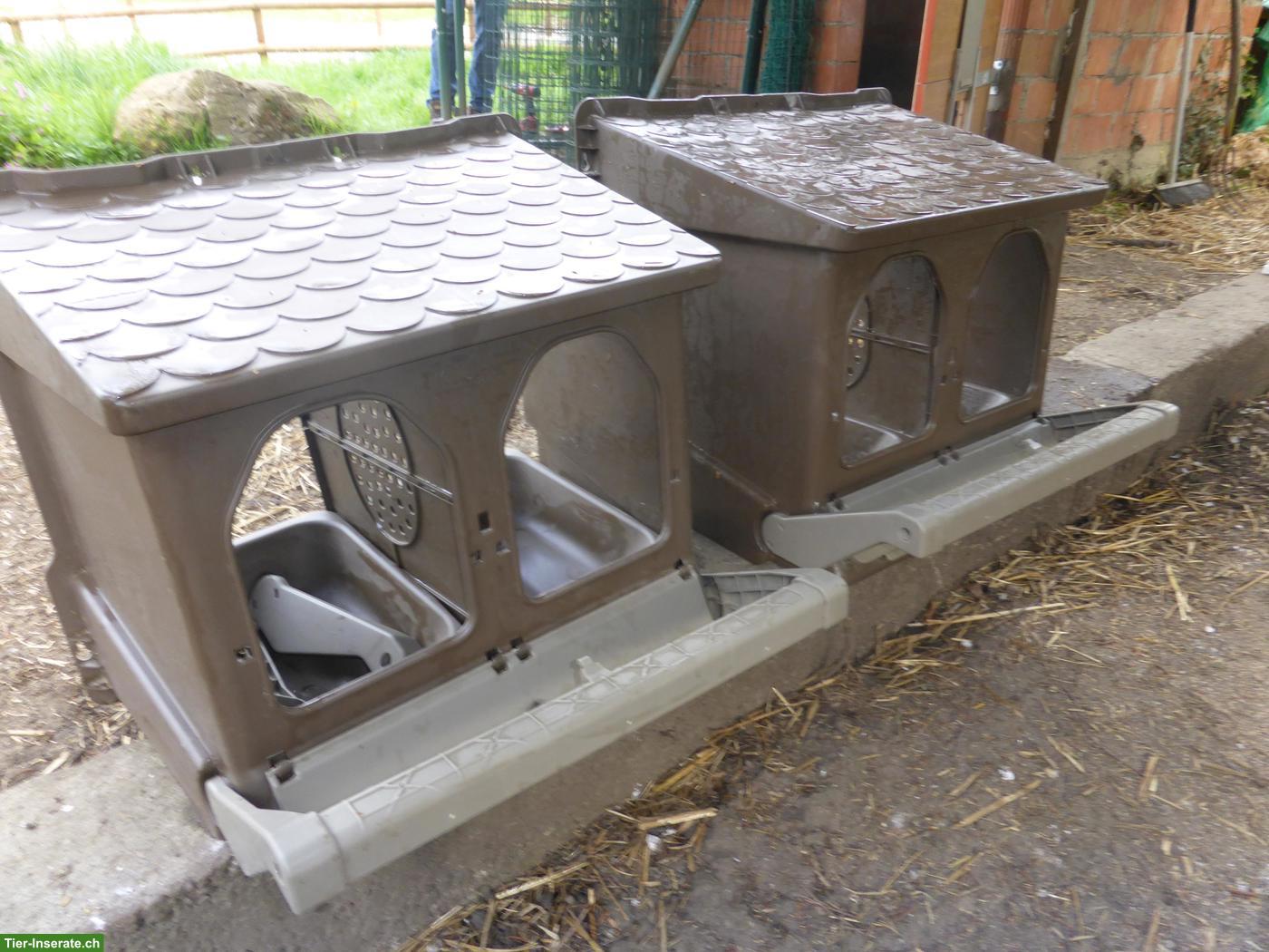 Bild 3: Diverses Hühnerzubehör zu verkaufen