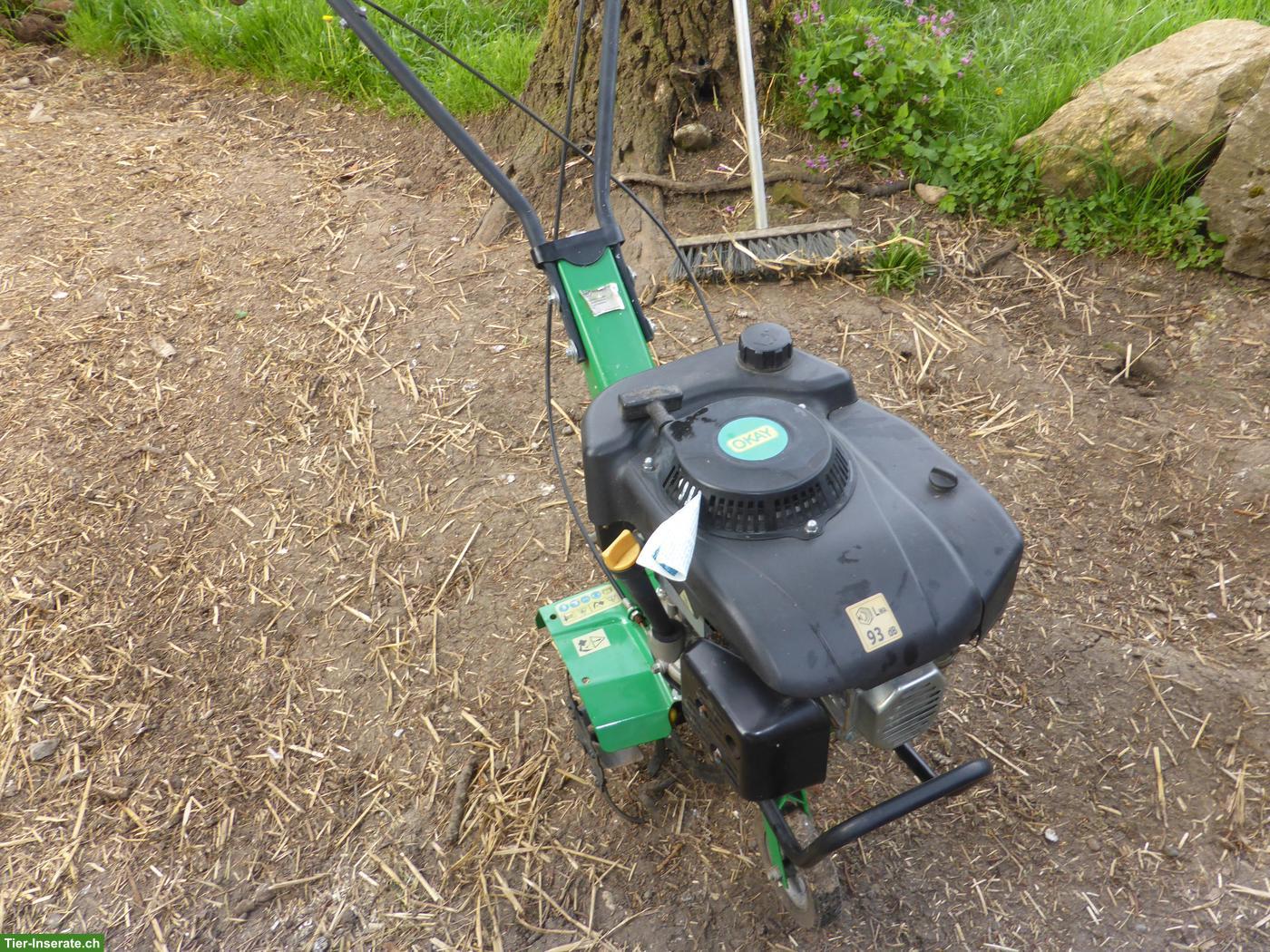 Bild 2: Kleine Motorhacke & Schlauchwagen günstig zu verkaufen