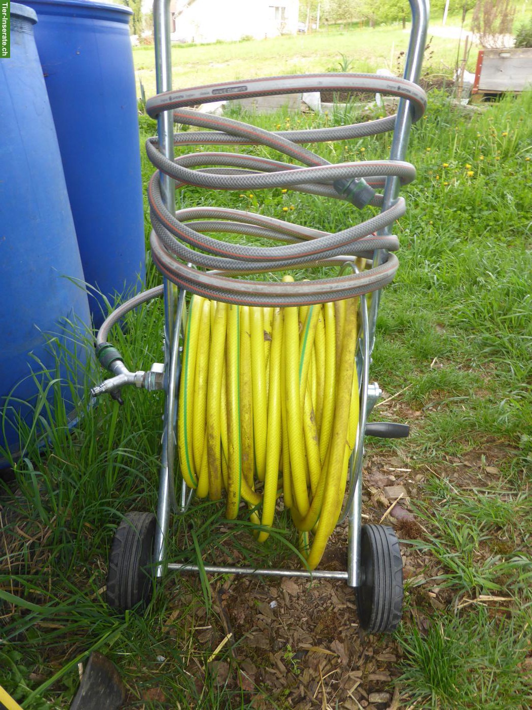 Bild 4: Kleine Motorhacke & Schlauchwagen günstig zu verkaufen