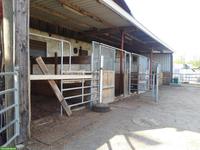 Pferde Pensions-/Altersplätze frei in Gruppenhaltung, Känerkinden BL