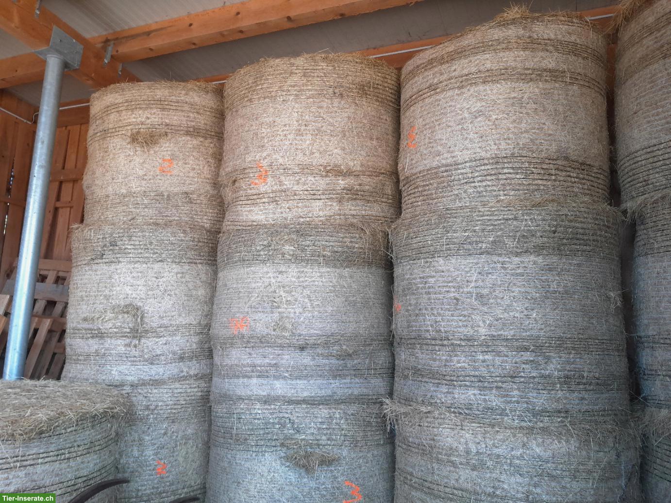 Pferdeheu in Rundballen zu verkaufen