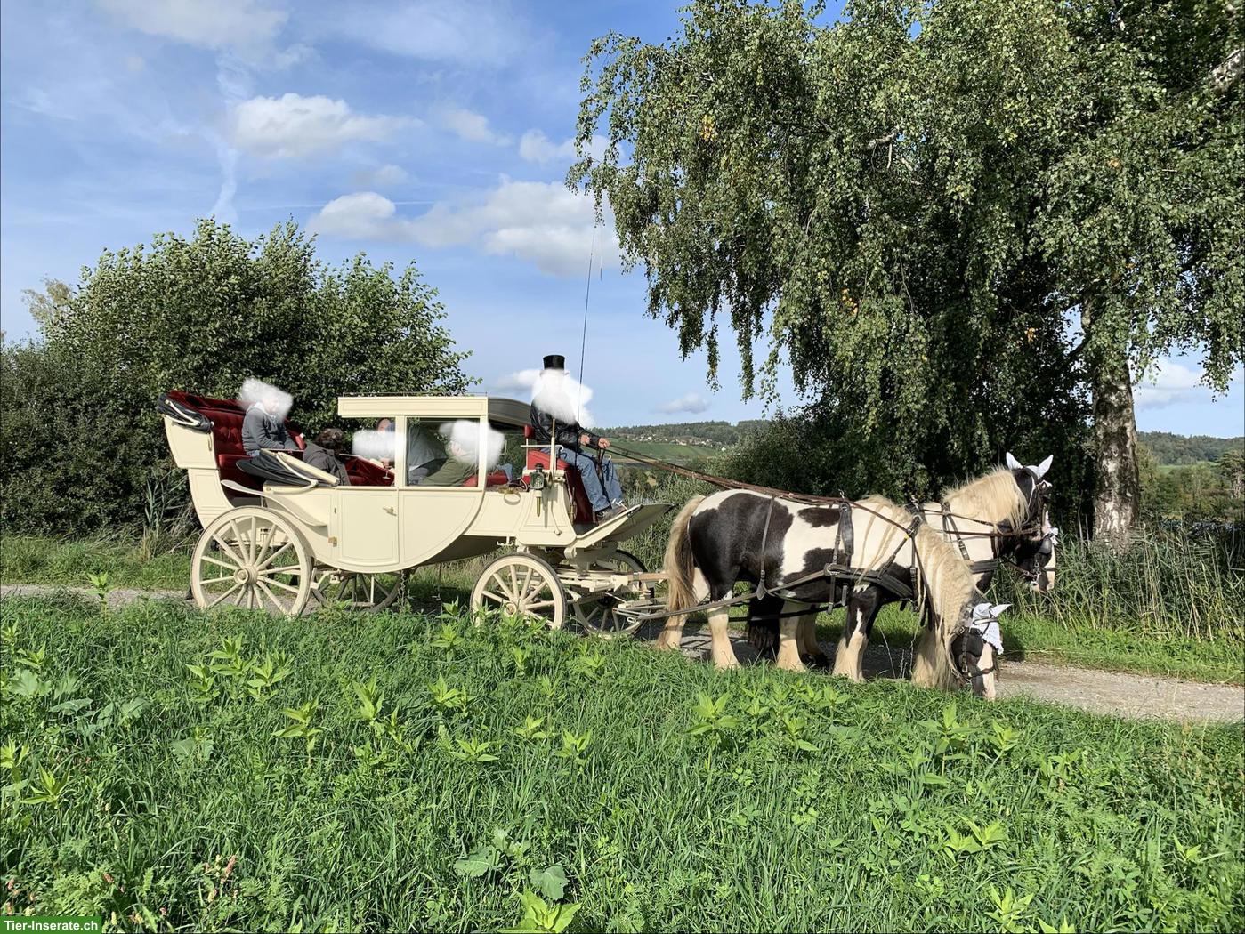 Herrschaftliche Reisekutsche zu verkaufen