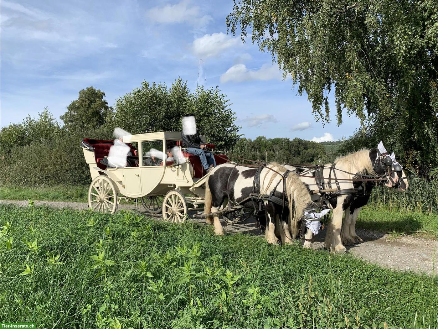 Bild 2: Herrschaftliche Reisekutsche zu verkaufen