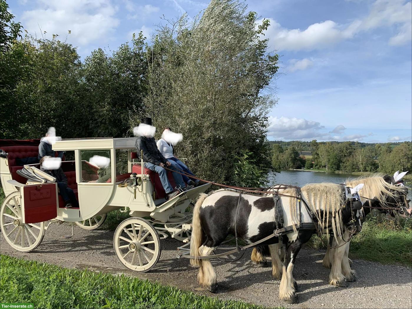 Bild 5: Herrschaftliche Reisekutsche zu verkaufen