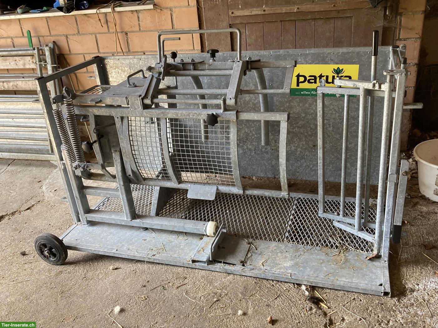 Bild 2: Patura Klauenstand für Schafe zu verkaufen