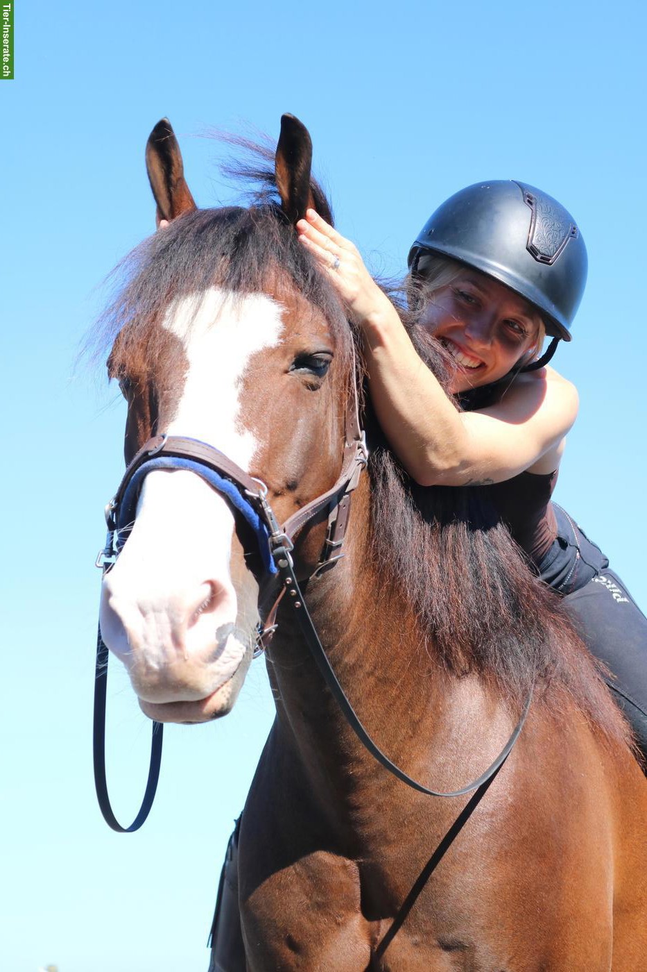 Bild 4: Reitbeteiligung für Lusitano Wallach in Diegten BL 🌻