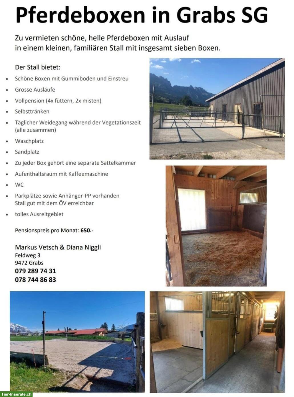 Schöne Pferdeboxe mit Auslauf in 9472 Grabs SG