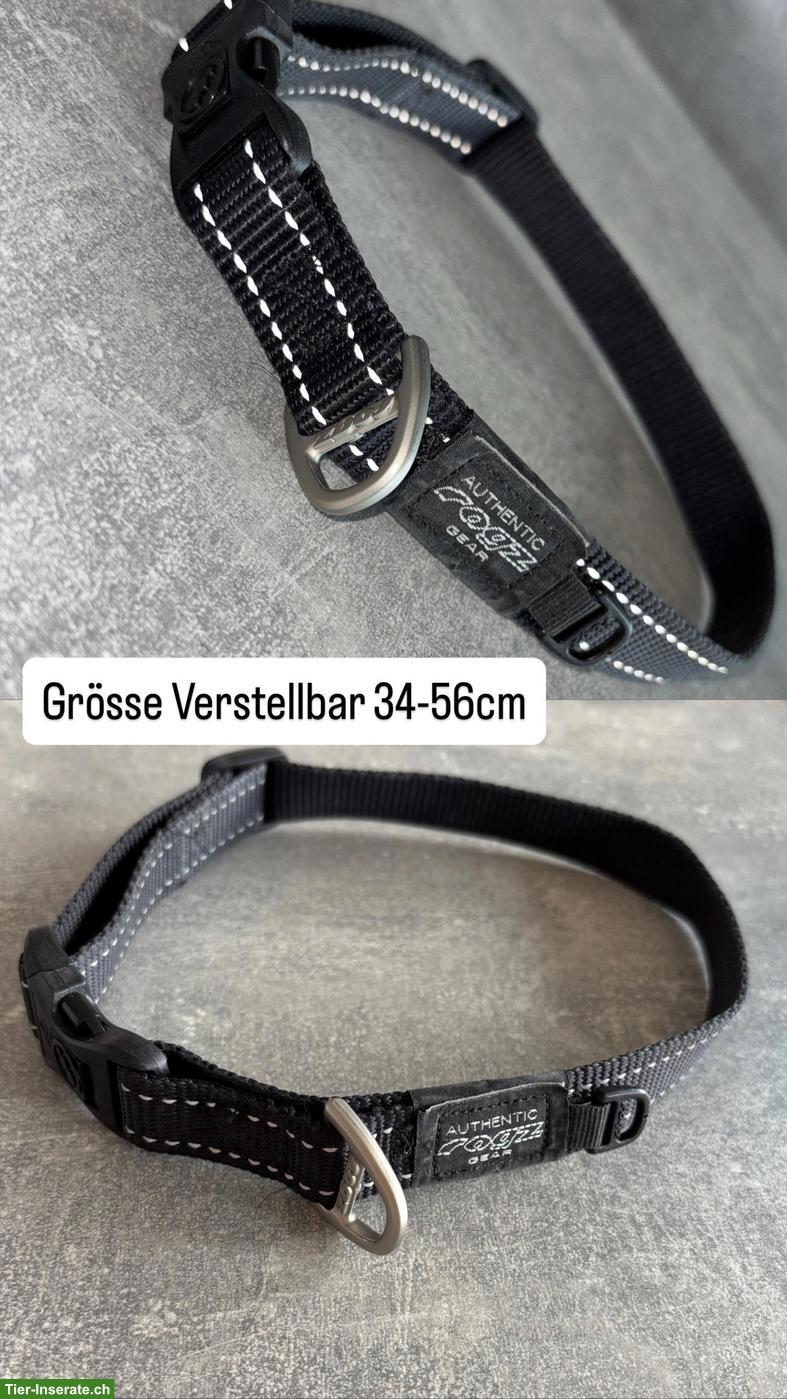Bild 3: Neue & neuwertige Hundehalsbänder zu verkaufen
