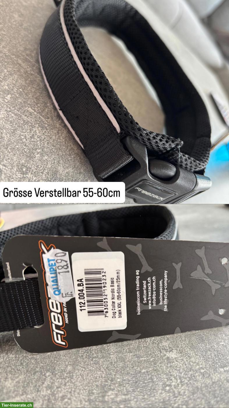 Bild 4: Neue & neuwertige Hundehalsbänder zu verkaufen