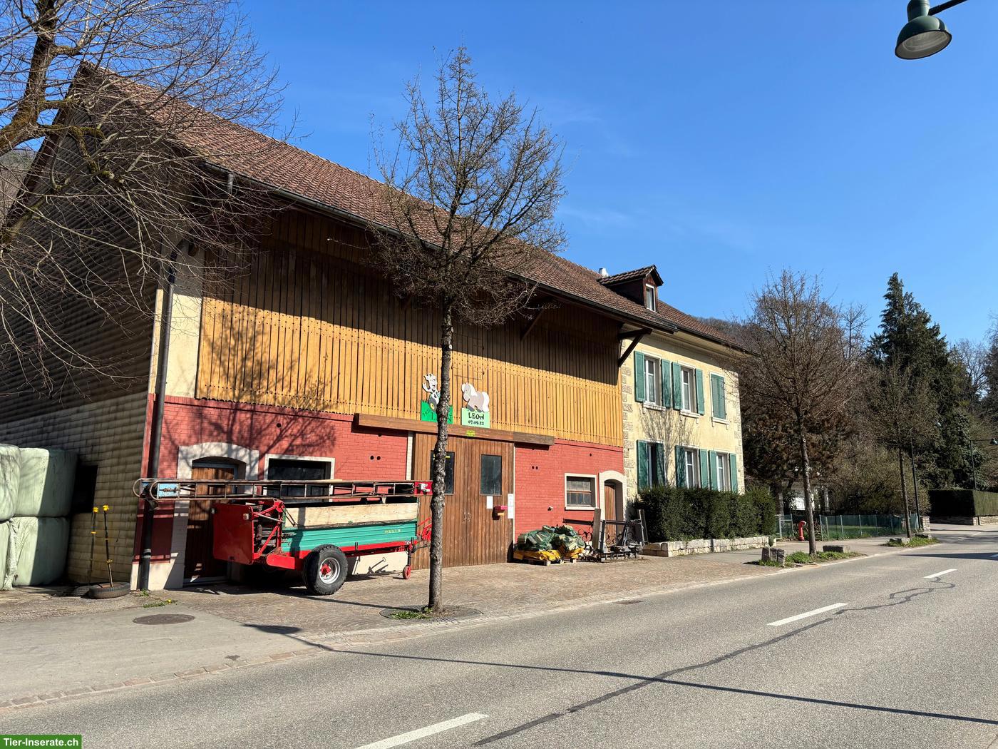 Vielseitige Liegenschaft mit 2 Wohnungen & Ökonomiegebäude