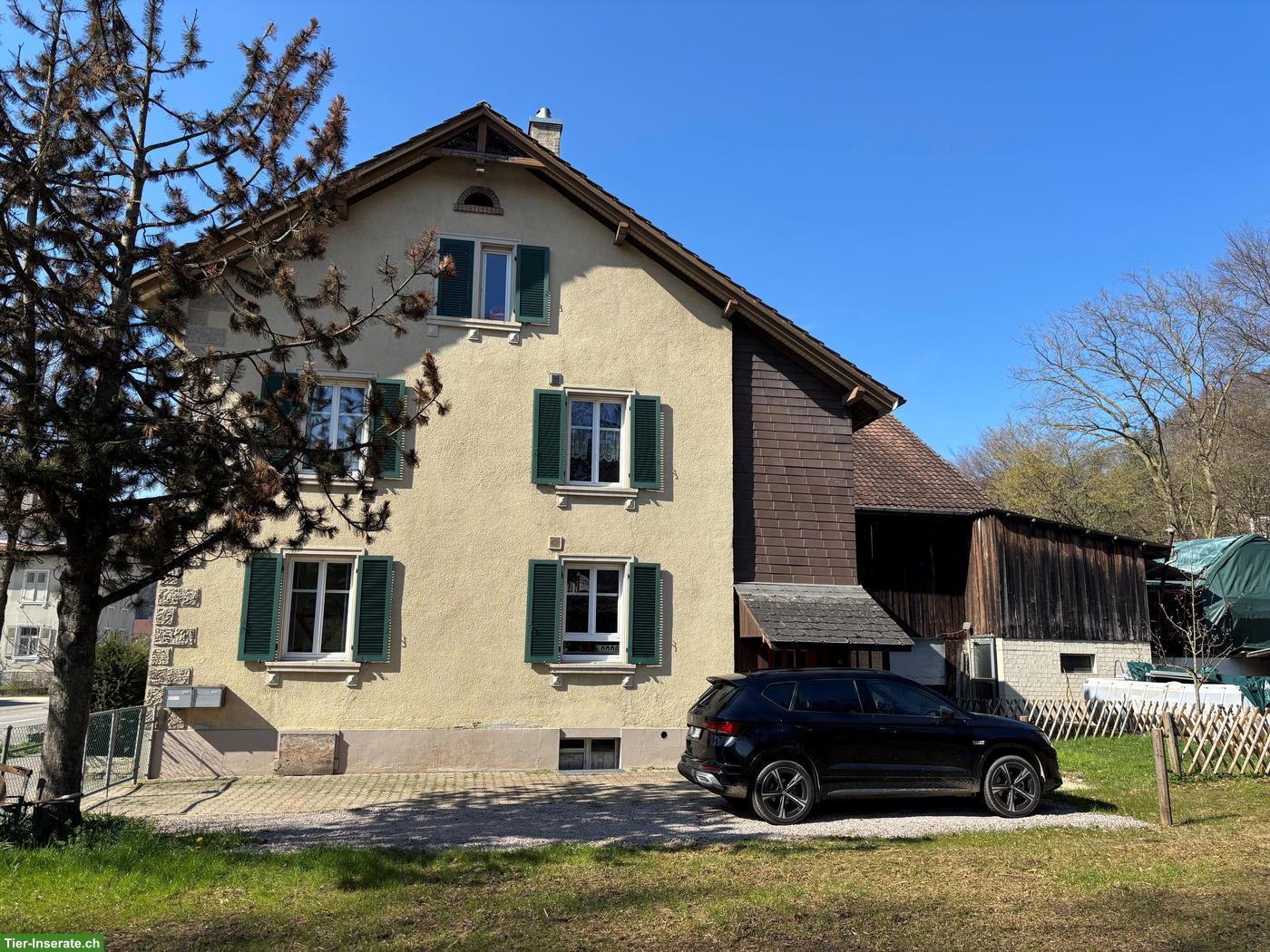 Bild 2: Vielseitige Liegenschaft mit 2 Wohnungen & Ökonomiegebäude