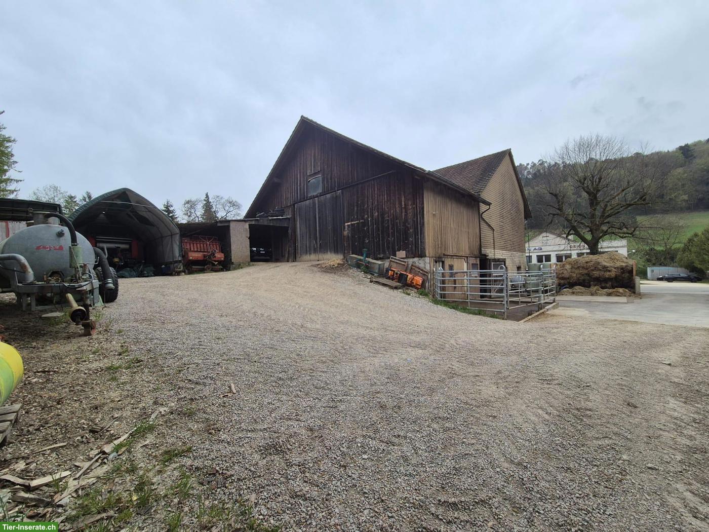 Bild 3: Vielseitige Liegenschaft mit 2 Wohnungen & Ökonomiegebäude