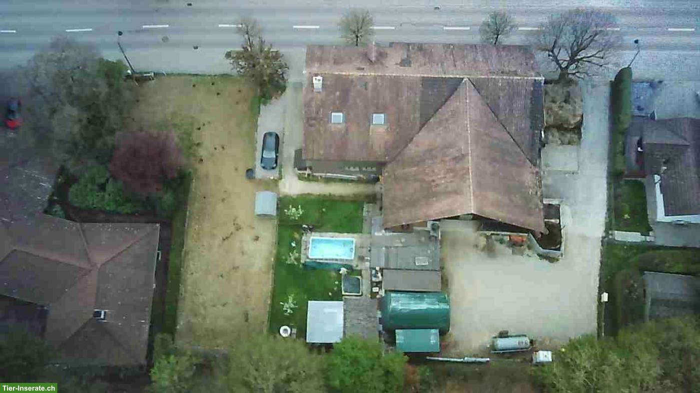 Bild 4: Vielseitige Liegenschaft mit 2 Wohnungen & Ökonomiegebäude