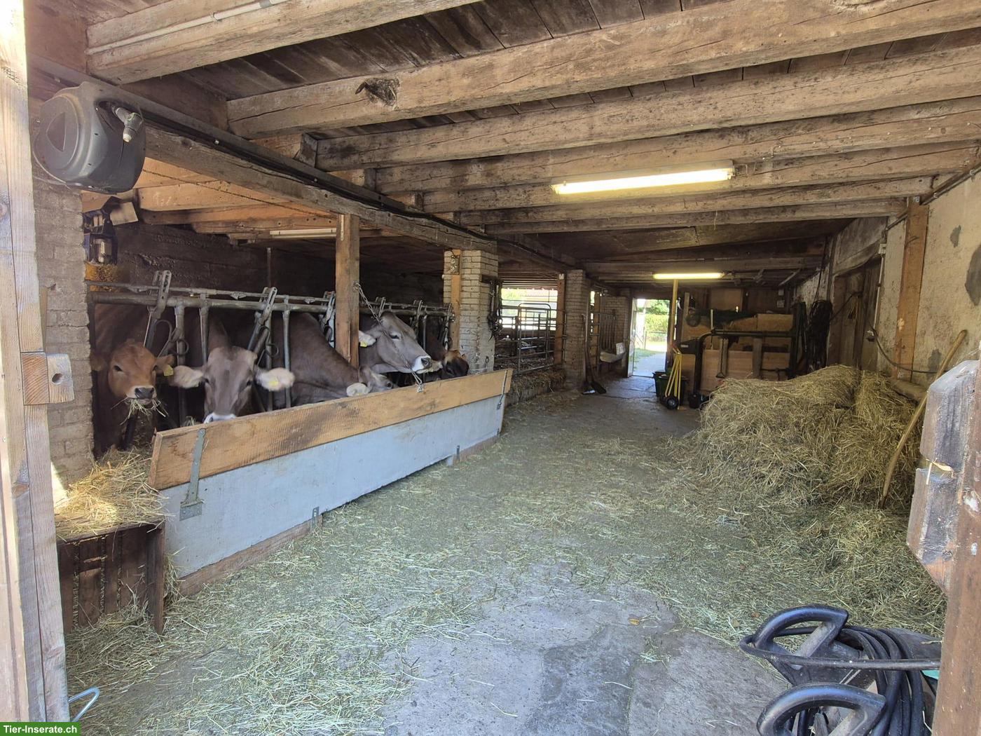 Bild 5: Grosszügiges Bauernhaus mit 2 Wohnungen, Stall & Scheune