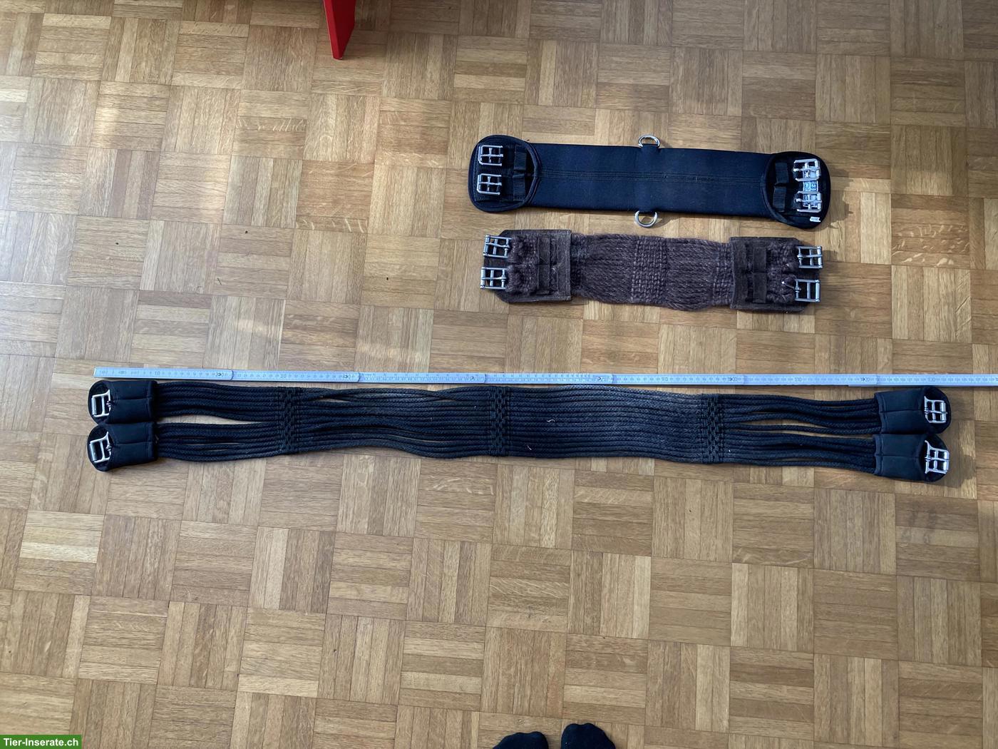 Sattelgurte zu verkaufen: 1x lang & 2x kurz