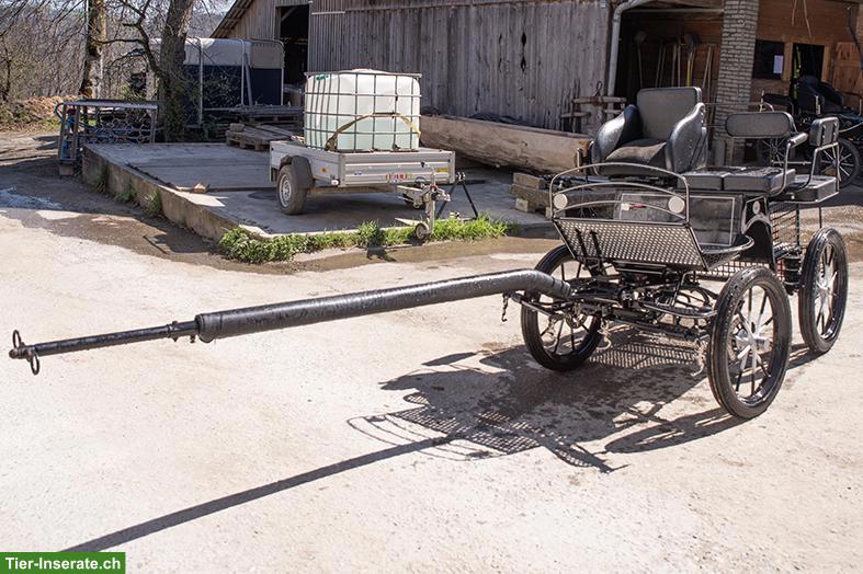 KURMANN Trainingswagen, ARDEN Brustblatt, beides neuwertig