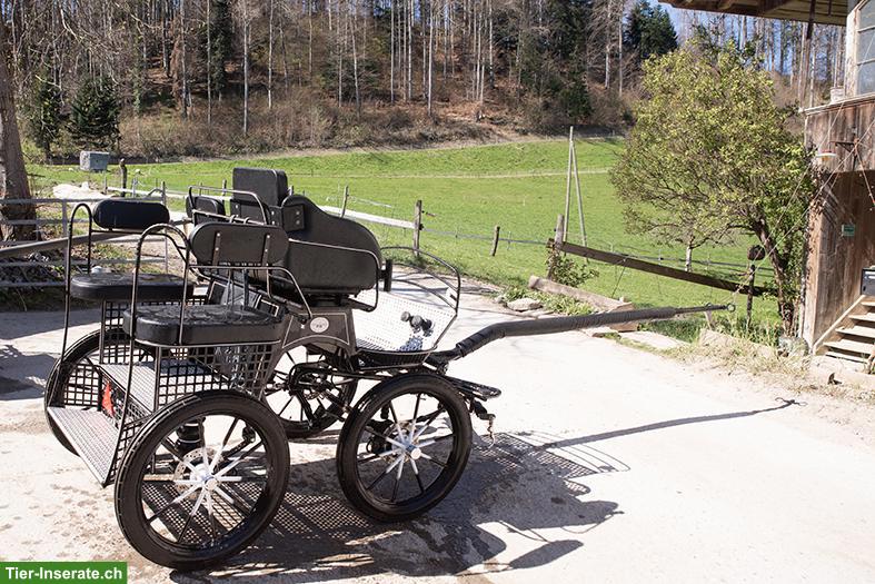 Bild 2: KURMANN Trainingswagen, ARDEN Brustblatt, beides neuwertig