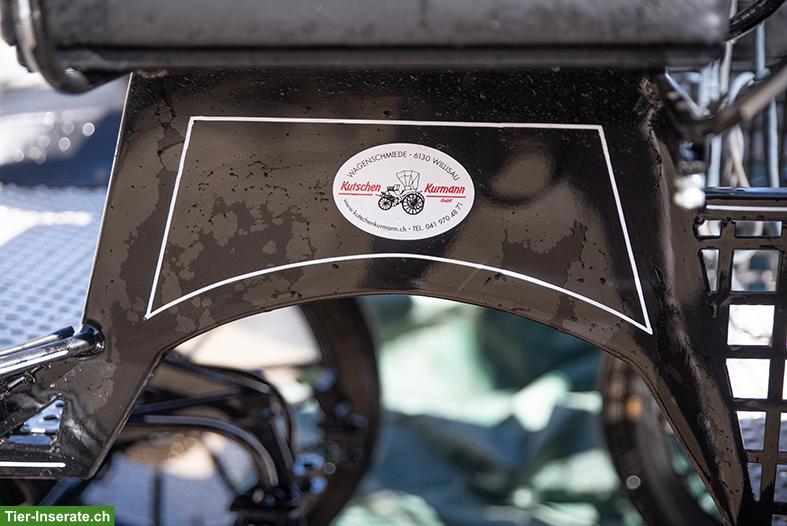 Bild 3: KURMANN Trainingswagen, ARDEN Brustblatt, beides neuwertig