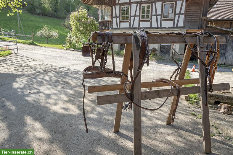 Bild 4: KURMANN Trainingswagen, ARDEN Brustblatt, beides neuwertig