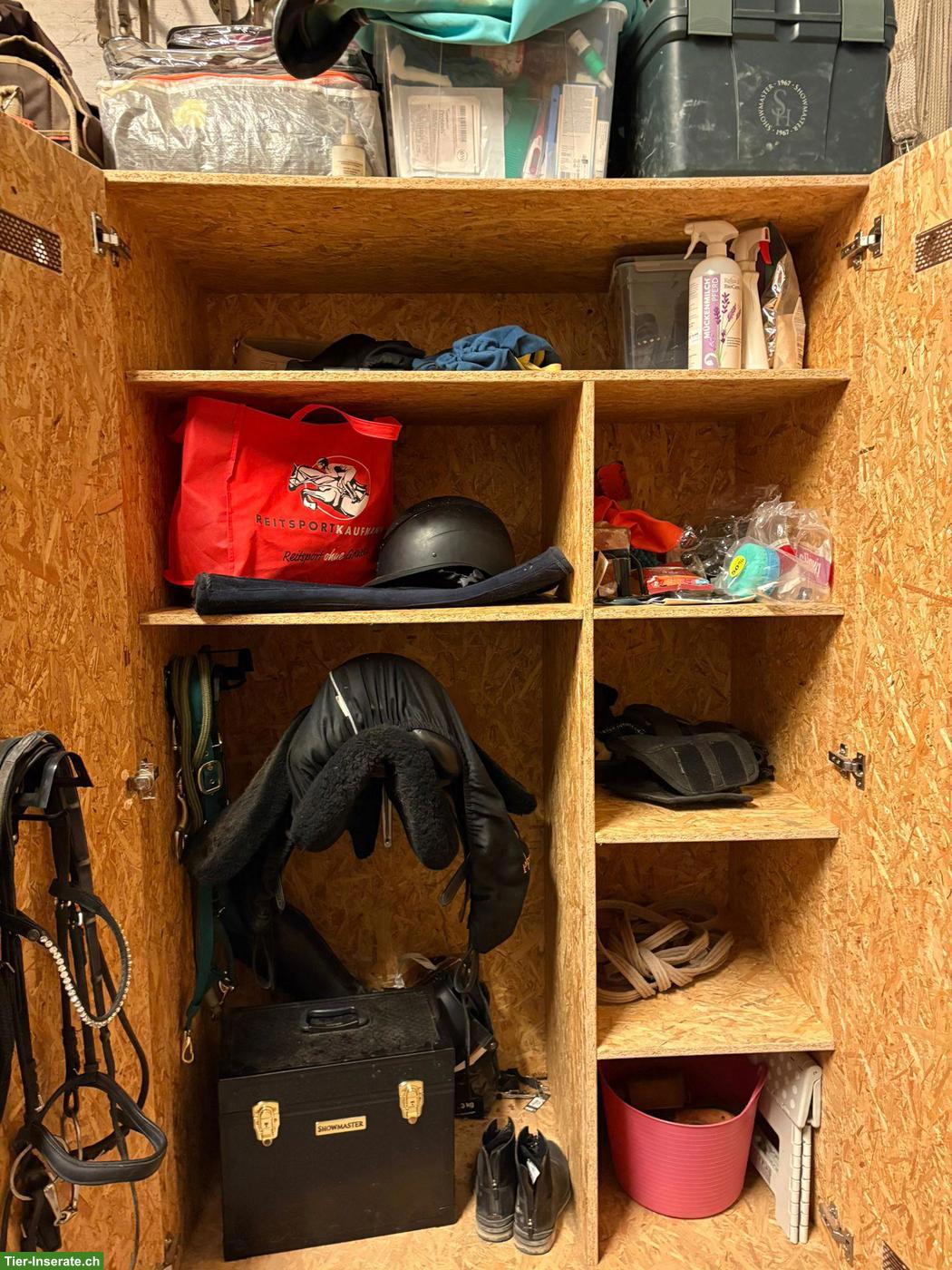 Bild 2: Sattelschrank OSB zu verkaufen