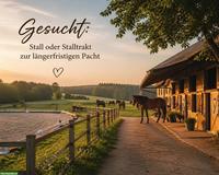 Gesucht: Stall / Stalltrakt zur längerfristigen Pacht, TG, SG oder ZH