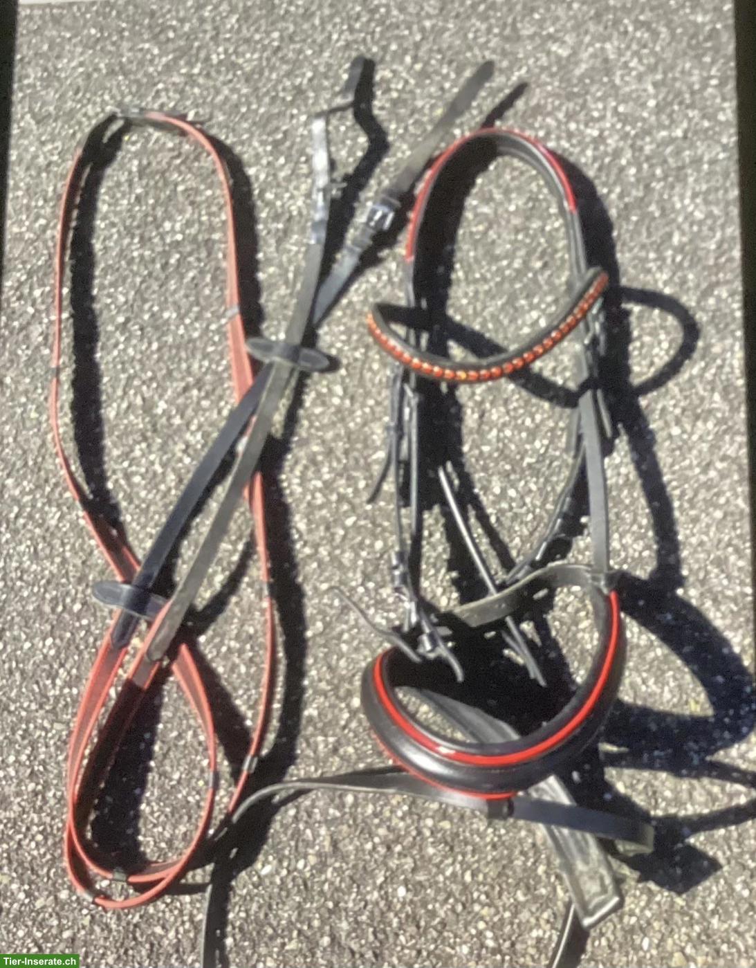 Pferdezäume mit Zügeln zu verkaufen